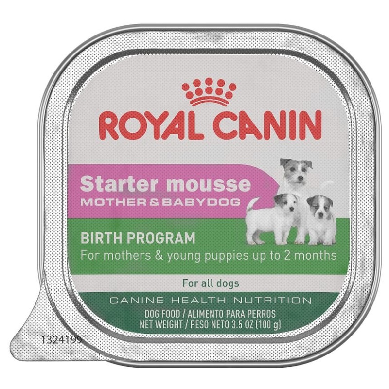 Royal Canin Starter Mousse Wet Dog Food