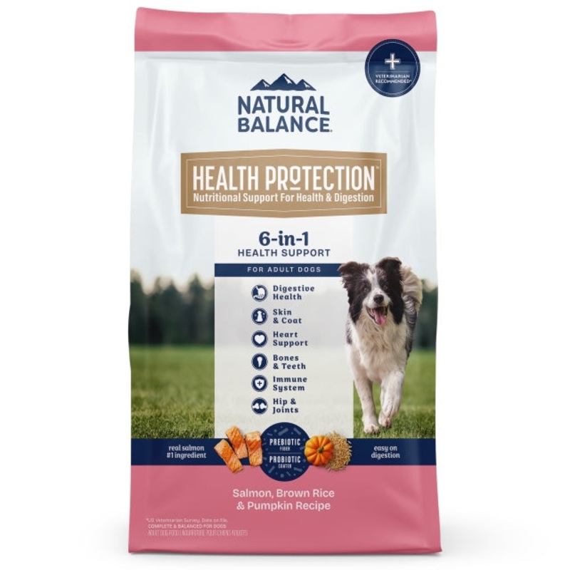 Natural Balance Health Protection Salmon, Brown Rice & Pumpkin Dry Dog Food