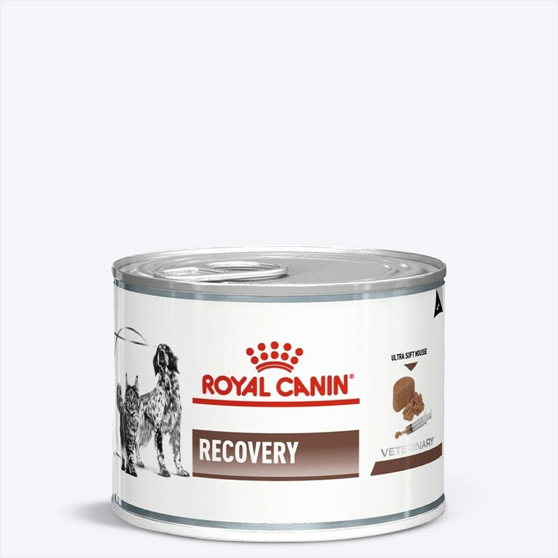 Royal Canin Veterinary Diet Recovery Canines & Felines Wet Food For Dog & Cat – 195 g