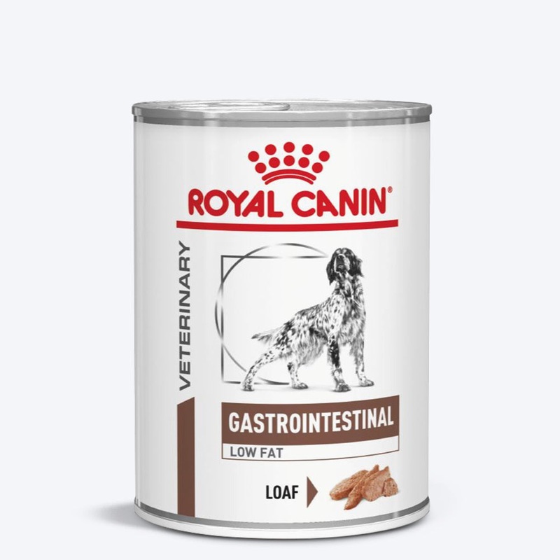 Royal Canin Veterinary Gastrointestinal Low Fat Dog Wet Food – 420 g