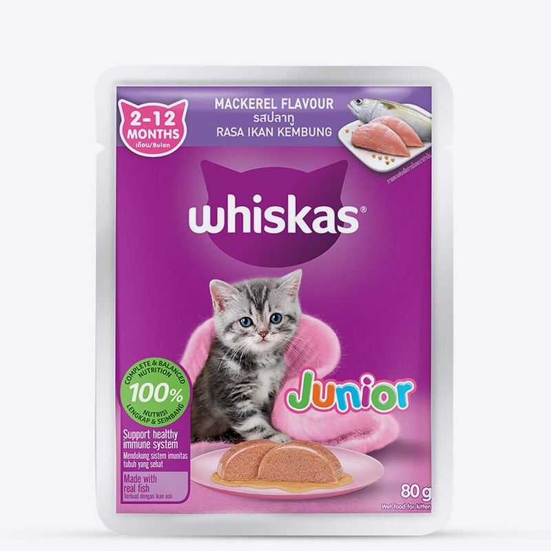 Whiskas Mackerel In Jelly Wet Food For Junior (2-12 Months) Kitten – 80 gm Pack