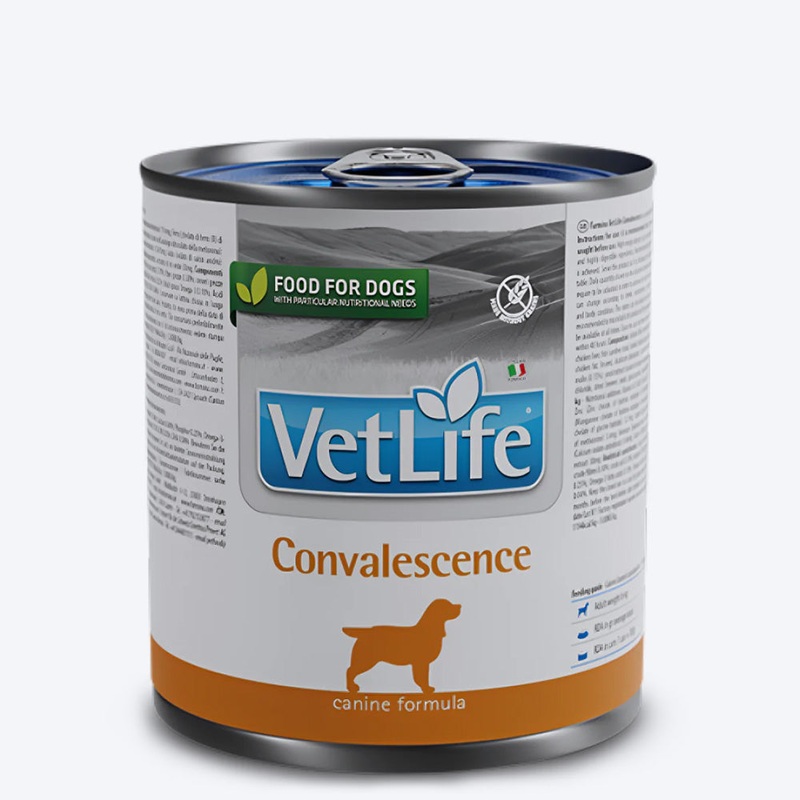 Farmina Vet Life Convalescence Wet Food For Dog – 300 gm