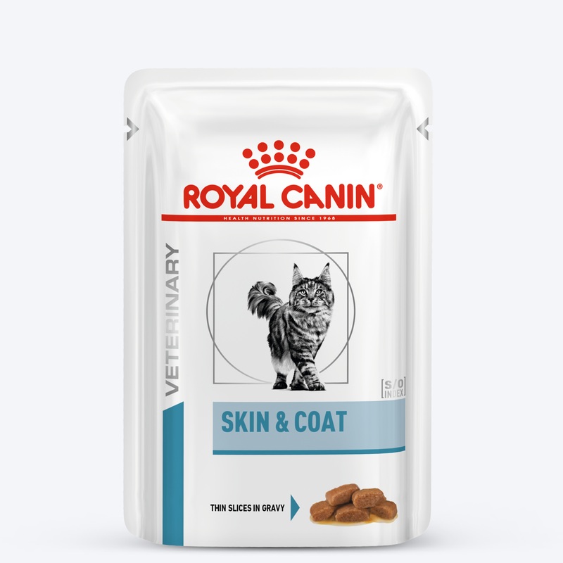 Royal Canin Skin & Coat Wet Food For Cat – 100 gm